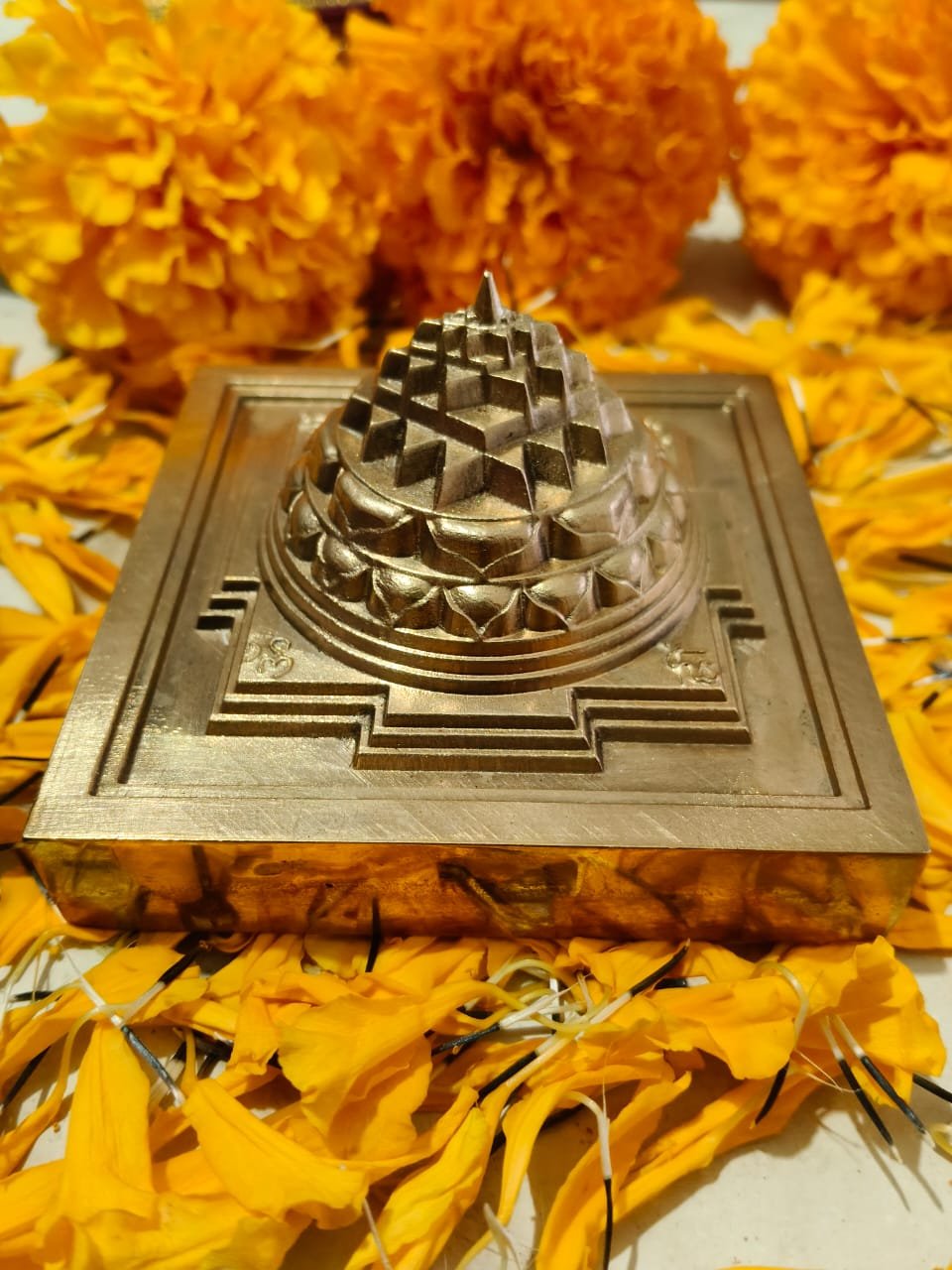 Vedic Astrology Consultation